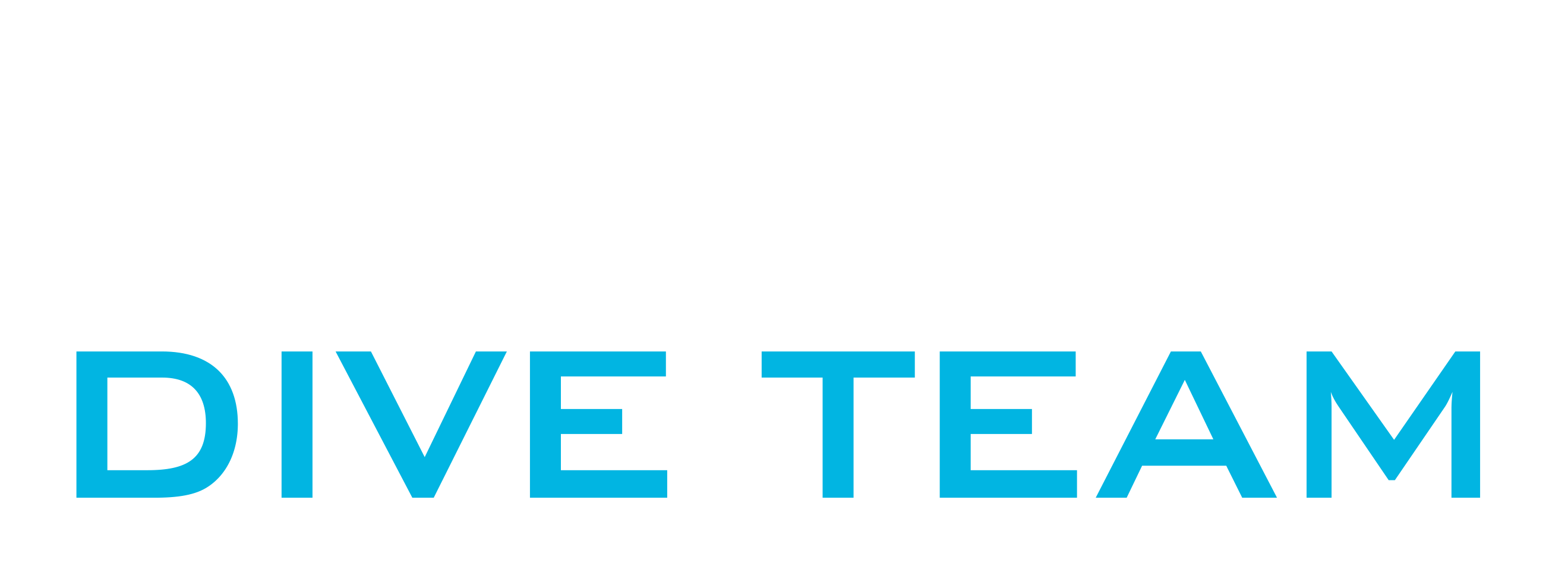 CDT_logo_text white cambridge