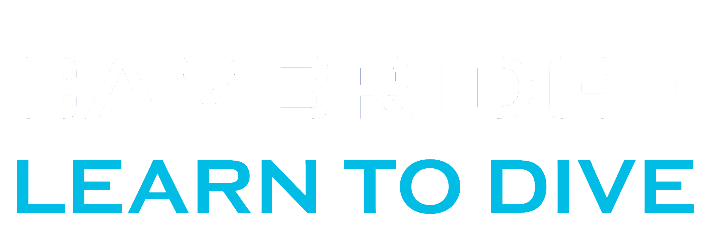 LTD logo text_white cambridge