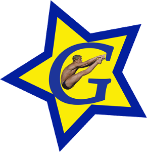 G-Star logo